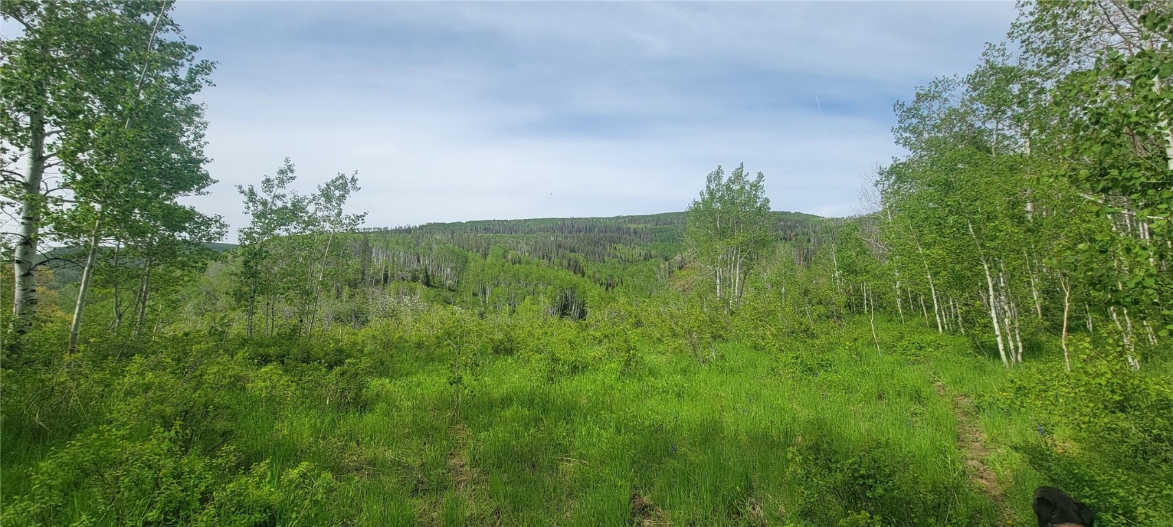 24425 Lone Tooth TRAIL