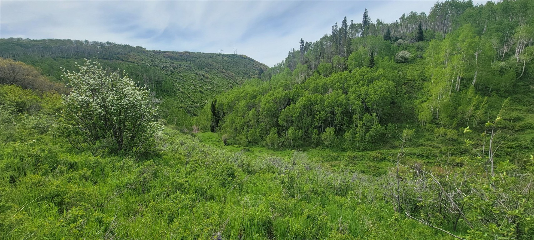 24425 Lone Tooth TRAIL