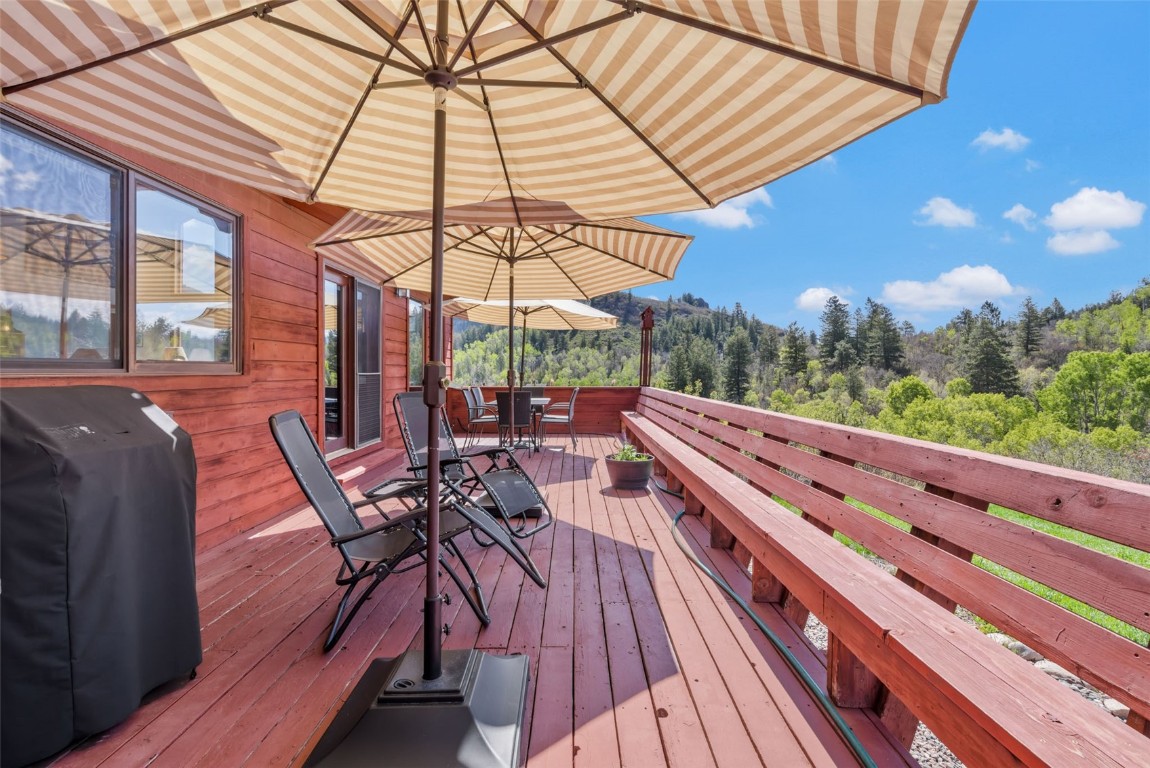 31105 Fallen Falcon TRAIL