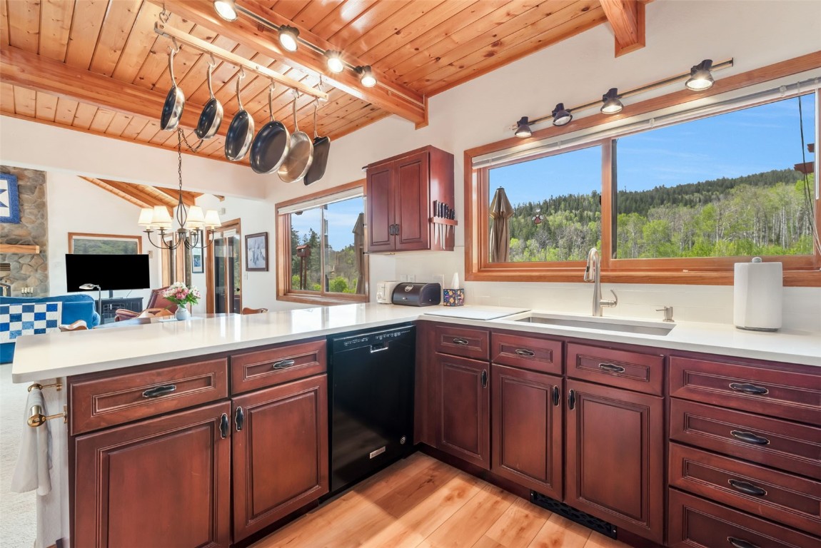 31105 Fallen Falcon TRAIL