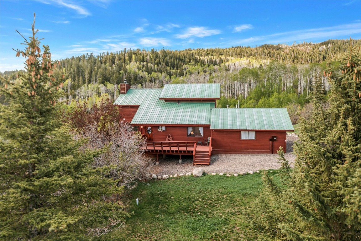 31105 Fallen Falcon TRAIL