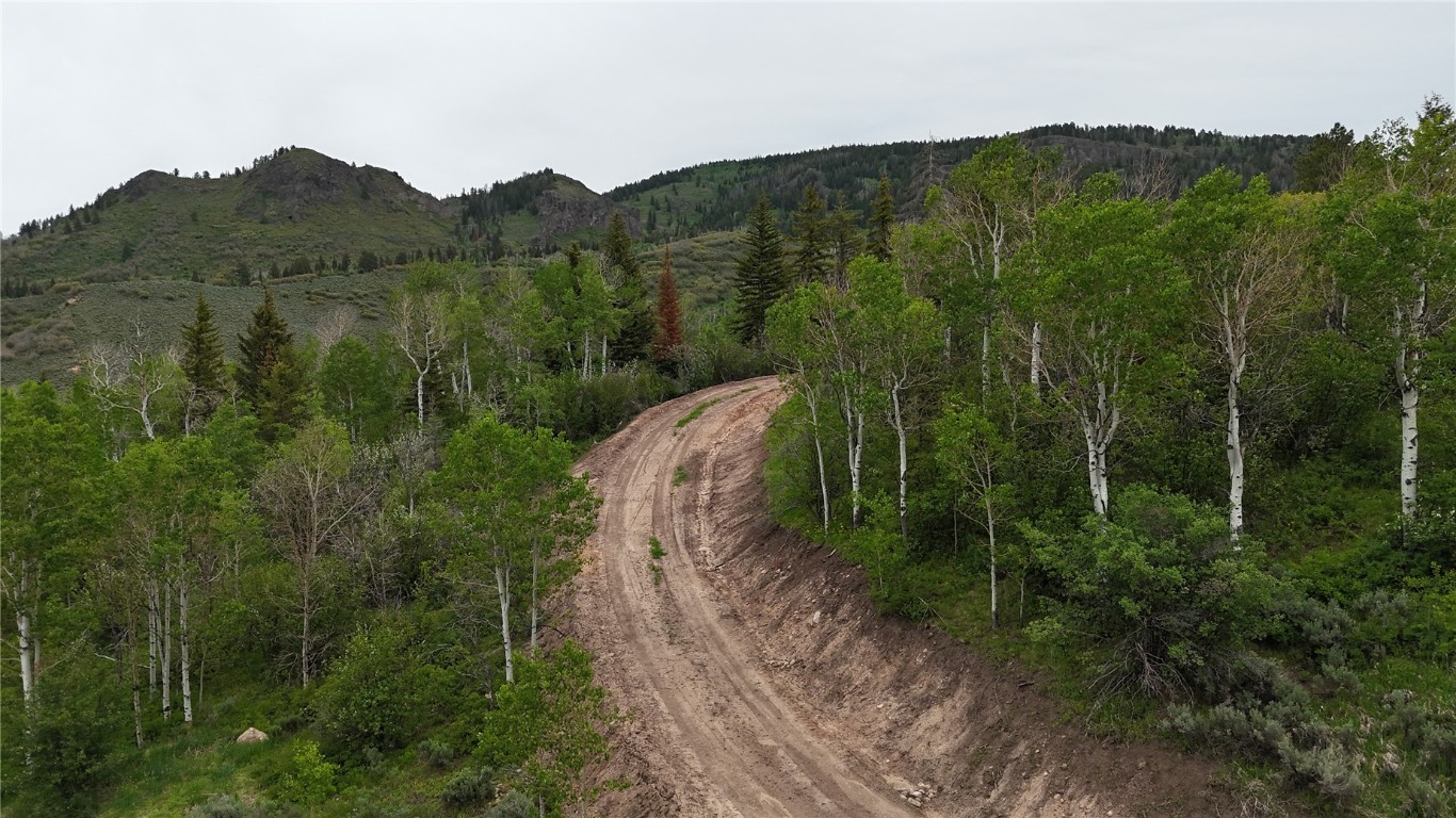 22890 Snowbird TRAIL