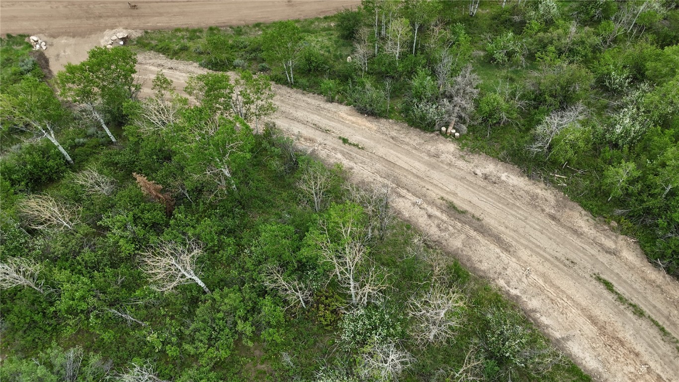 22890 Snowbird TRAIL