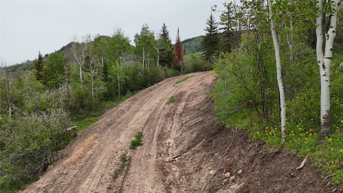22890 Snowbird TRAIL