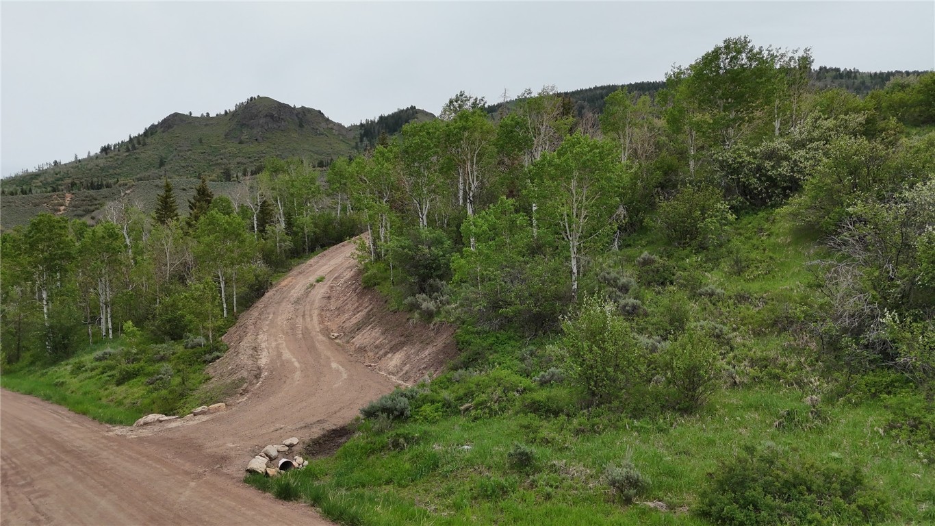 22890 Snowbird TRAIL