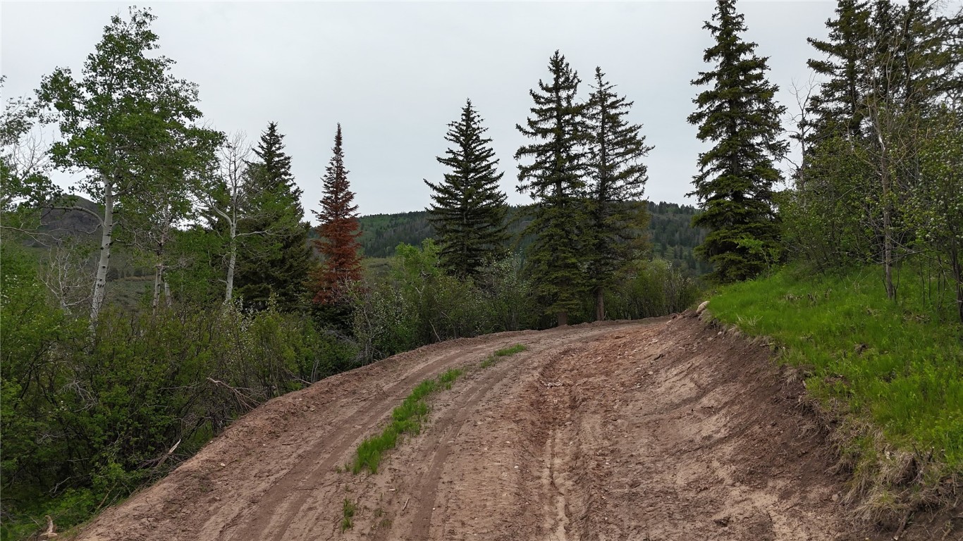 22890 Snowbird TRAIL