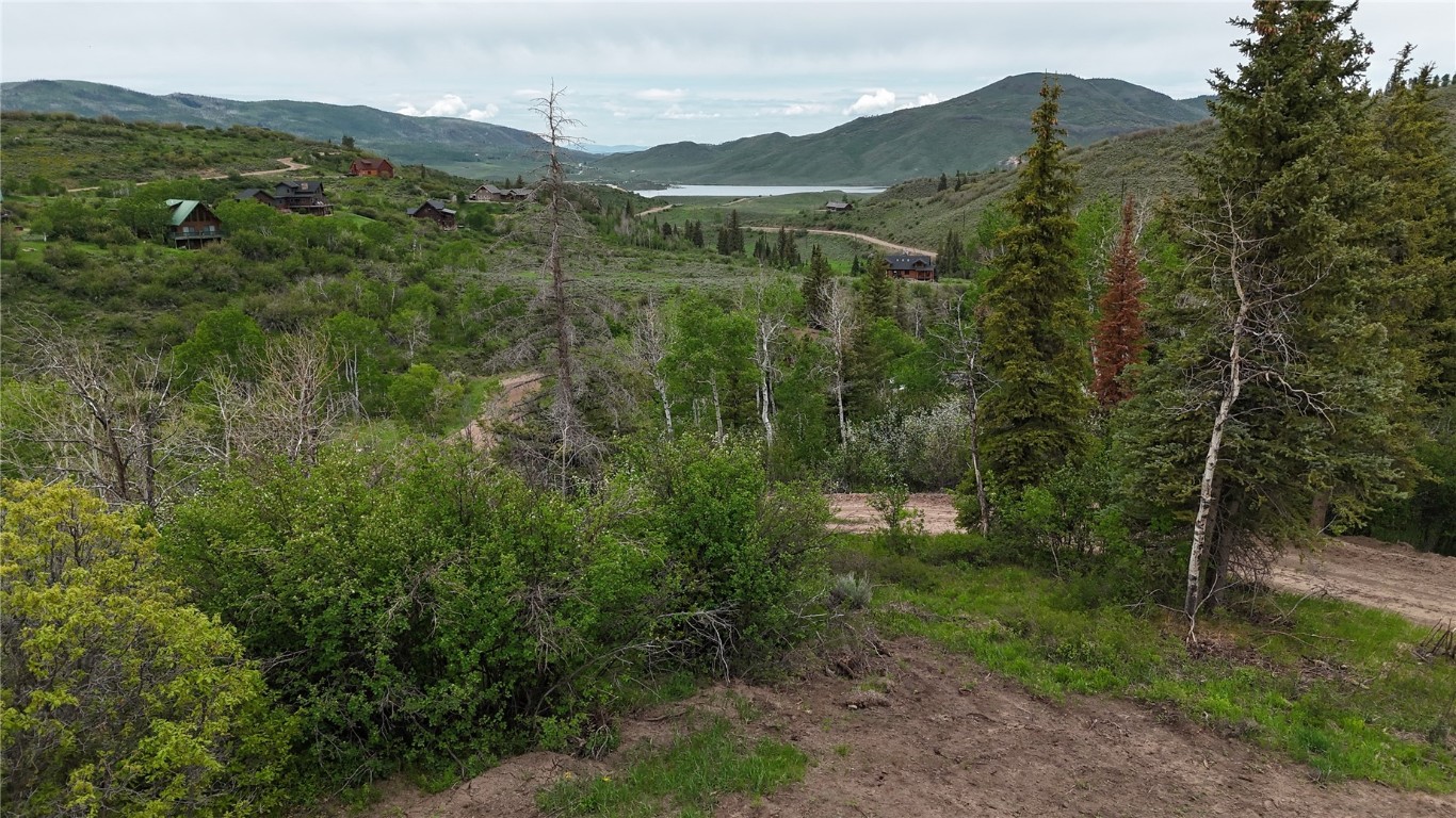 22890 Snowbird TRAIL