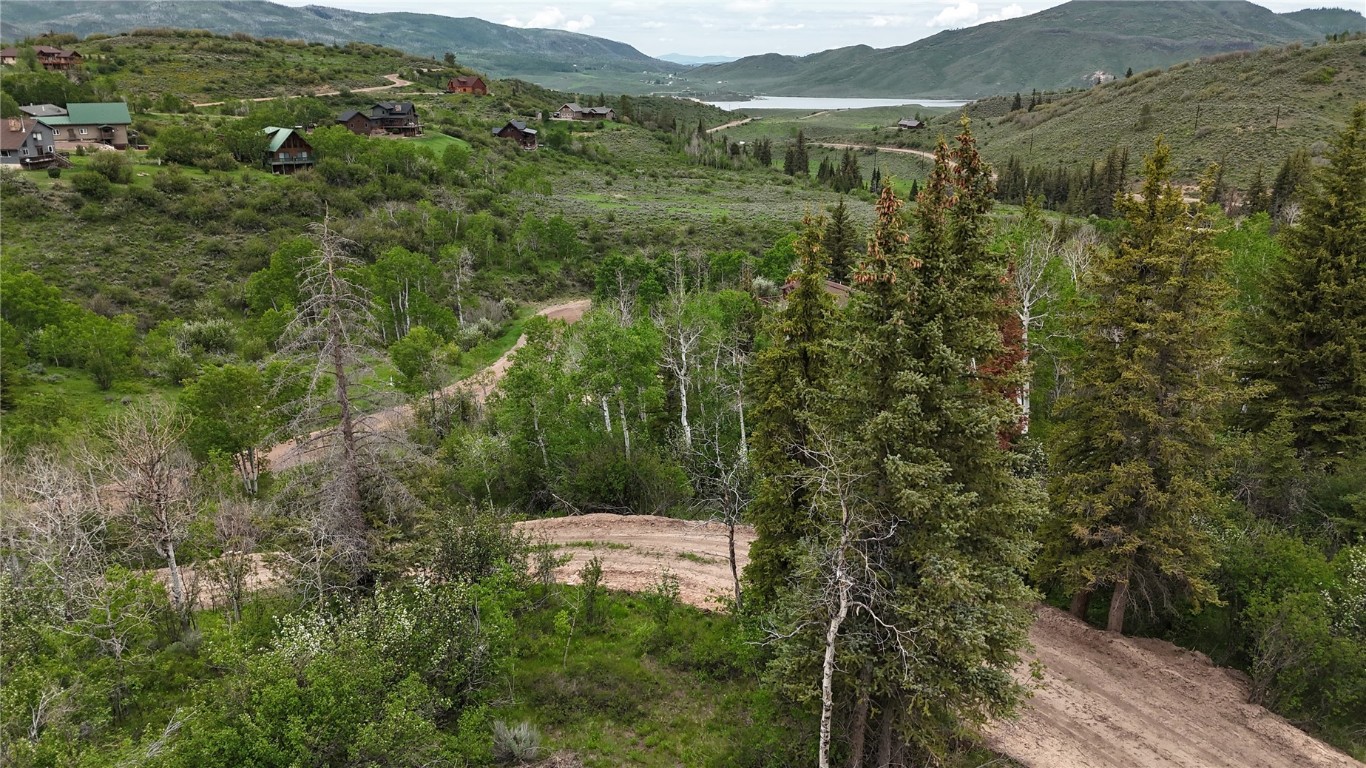 22890 Snowbird TRAIL