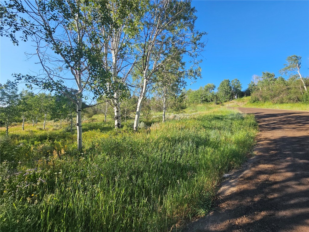 31145 Broken Talon TRAIL