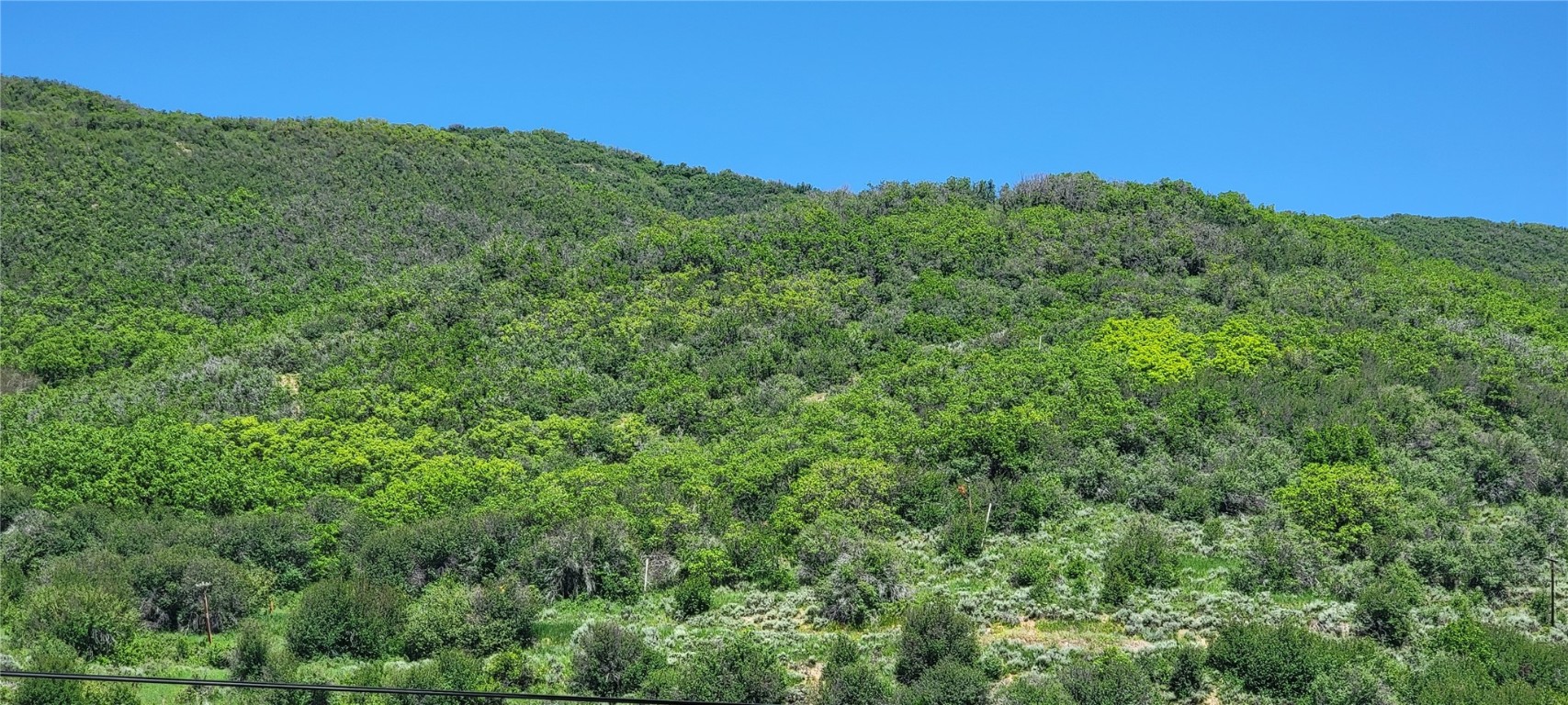 25750 Arrowhead TRAIL