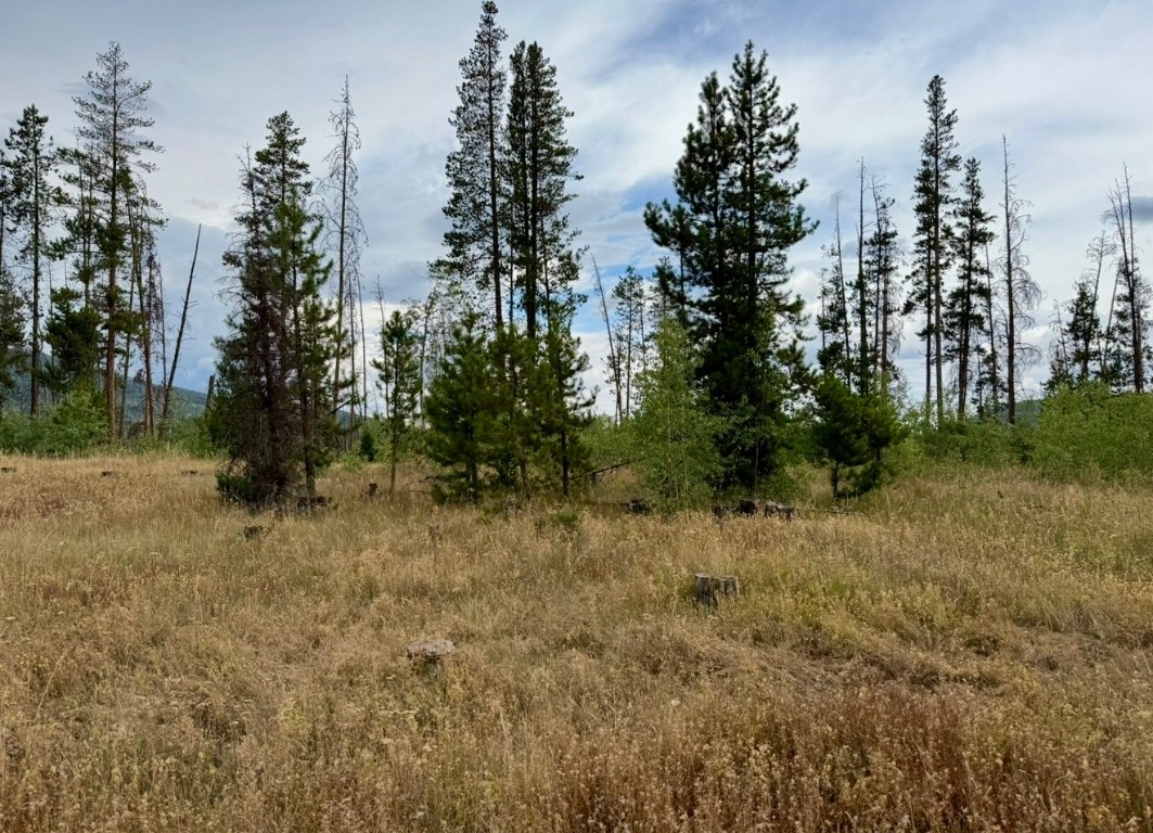 Lot 176 Hoch-Eye Way