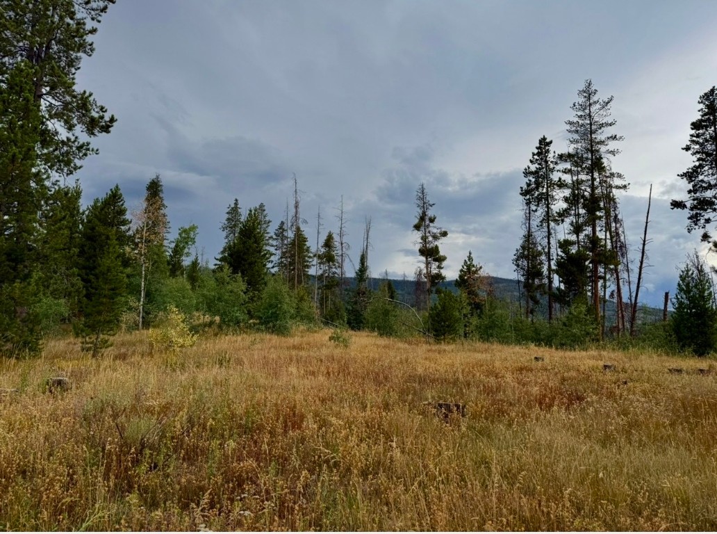 Lot 176 Hoch-Eye Way