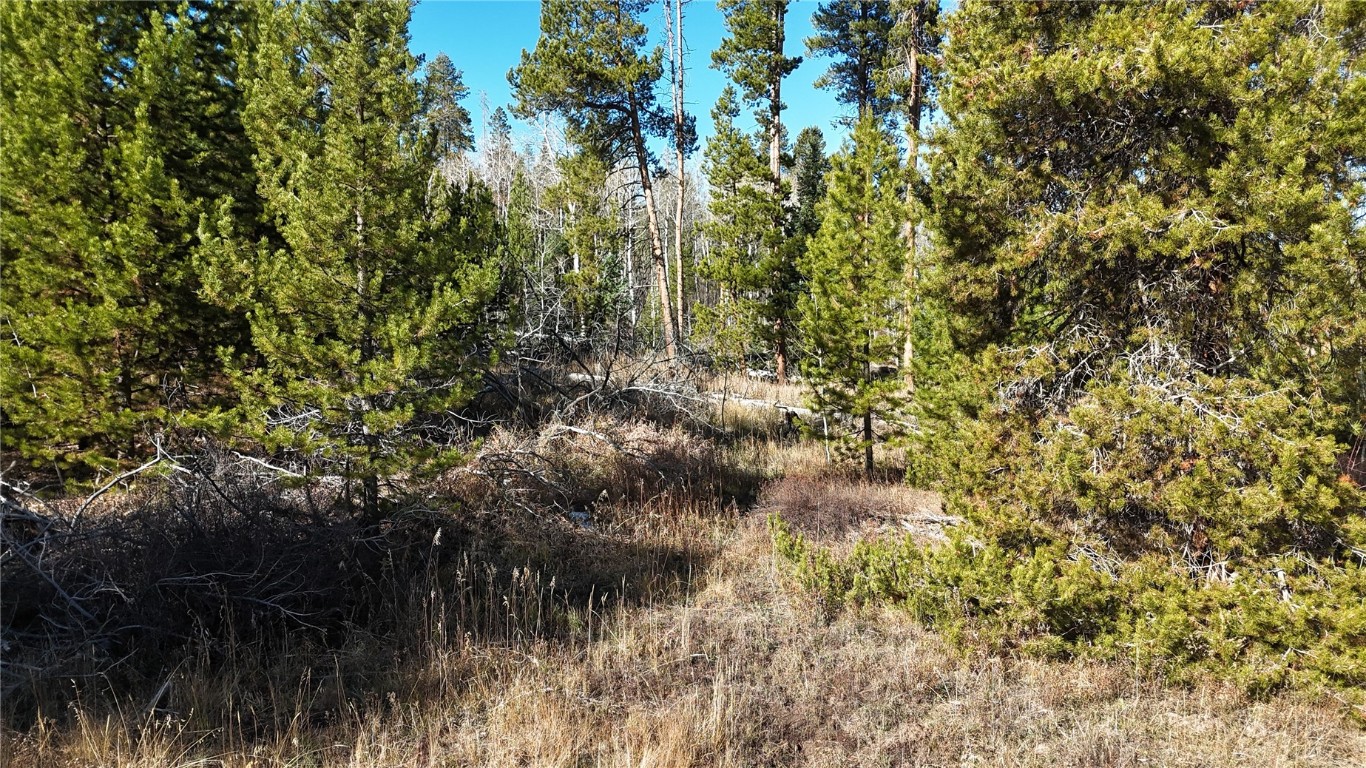 22523 Cheyenne TRAIL