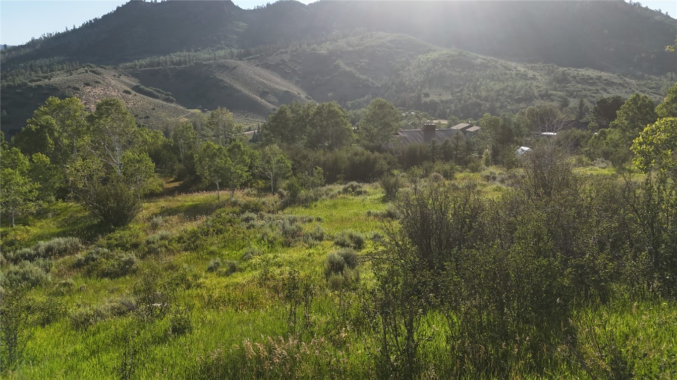 31145 Broken Talon TRAIL