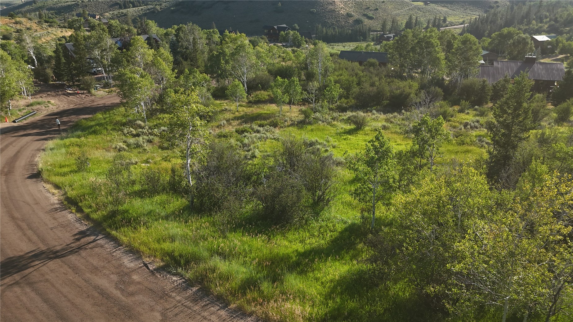 31145 Broken Talon TRAIL