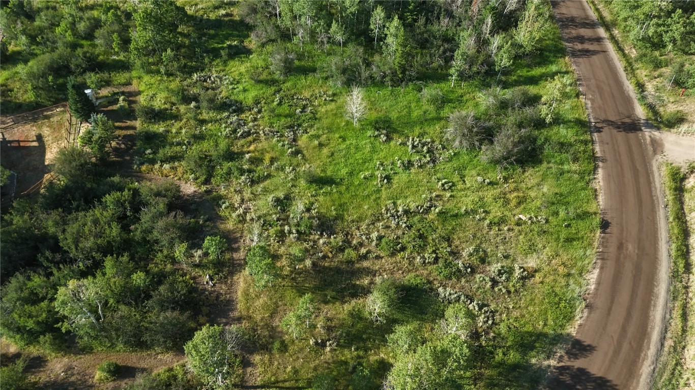 31145 Broken Talon TRAIL