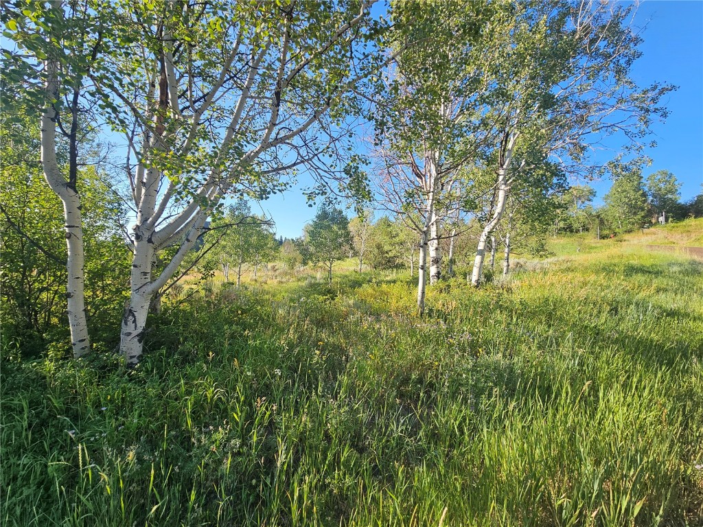 31145 Broken Talon TRAIL