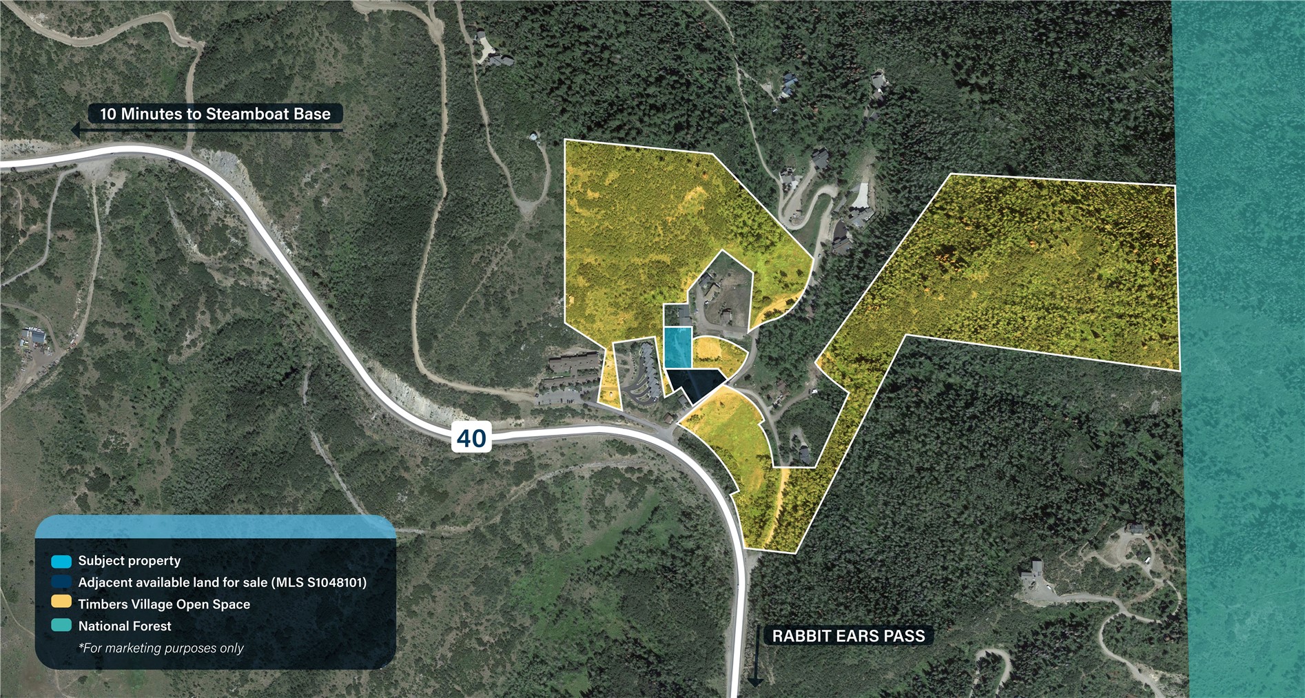 31575 Buckingham LANE .