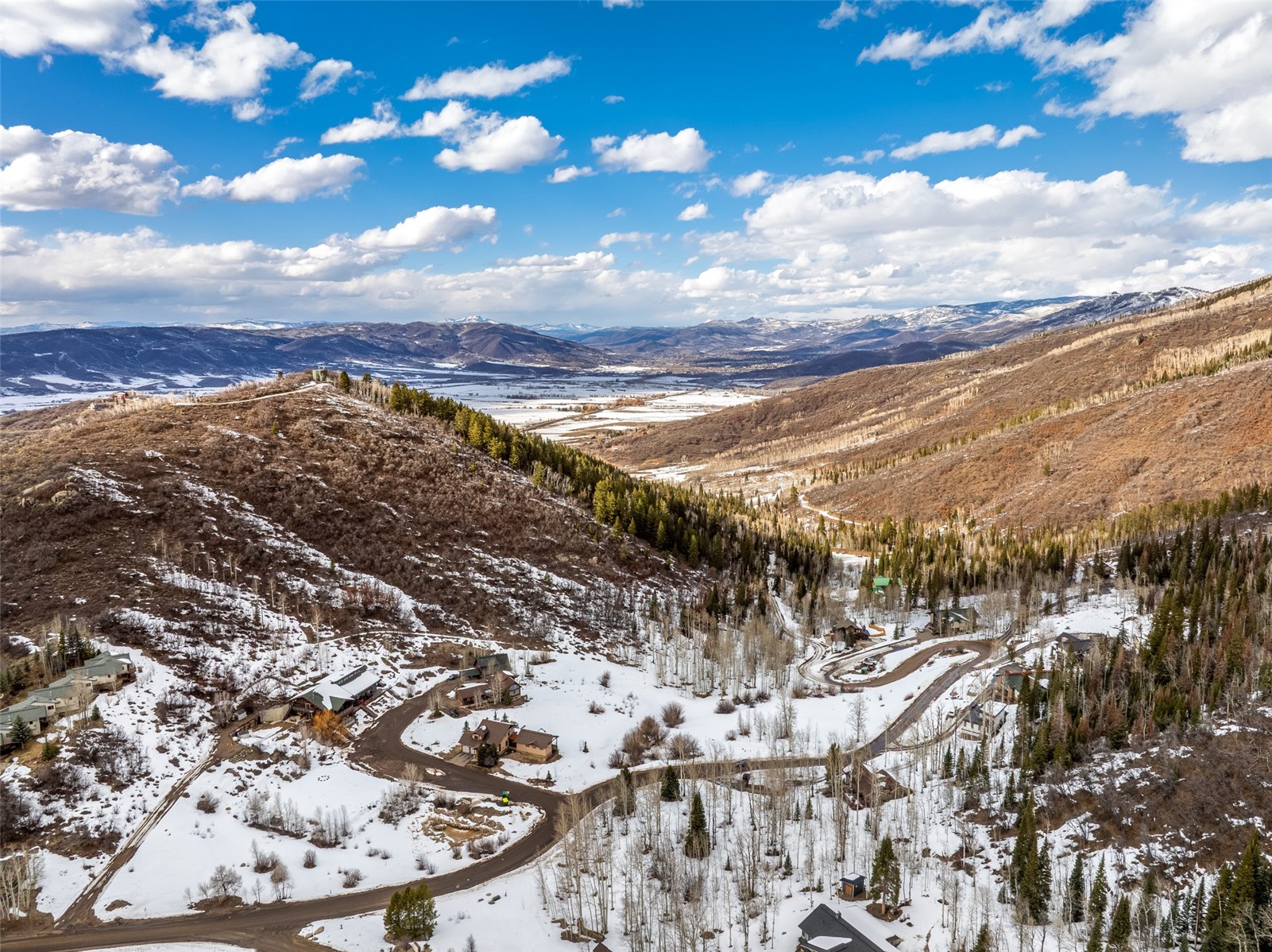 31575 Buckingham LANE .