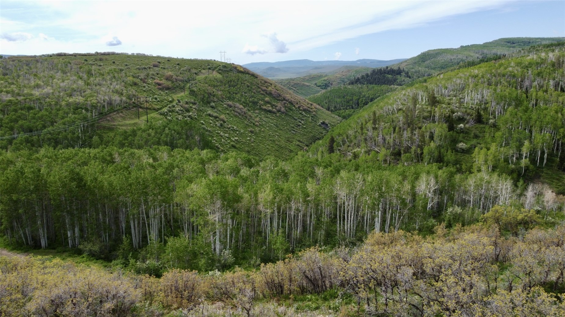24425 Lone Tooth TRAIL