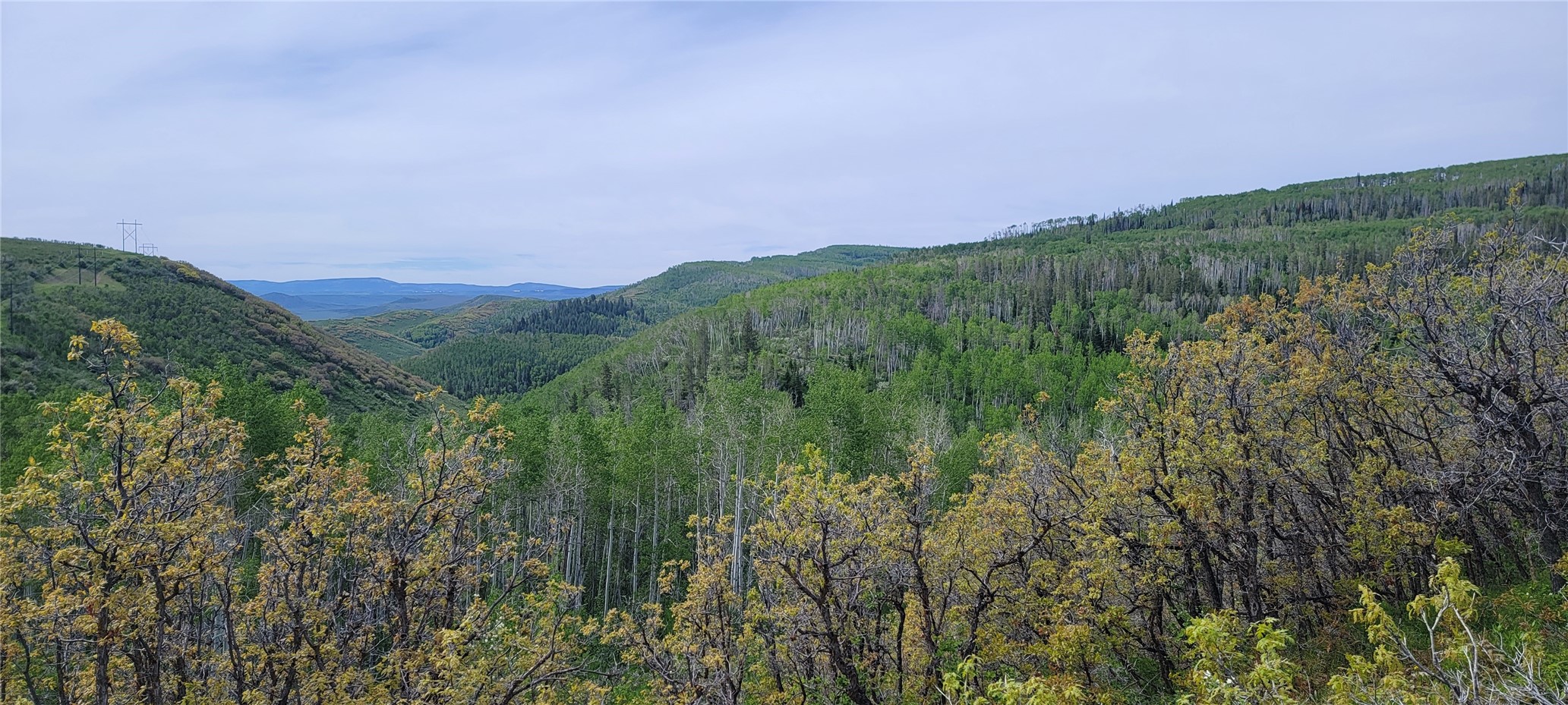 24425 Lone Tooth TRAIL