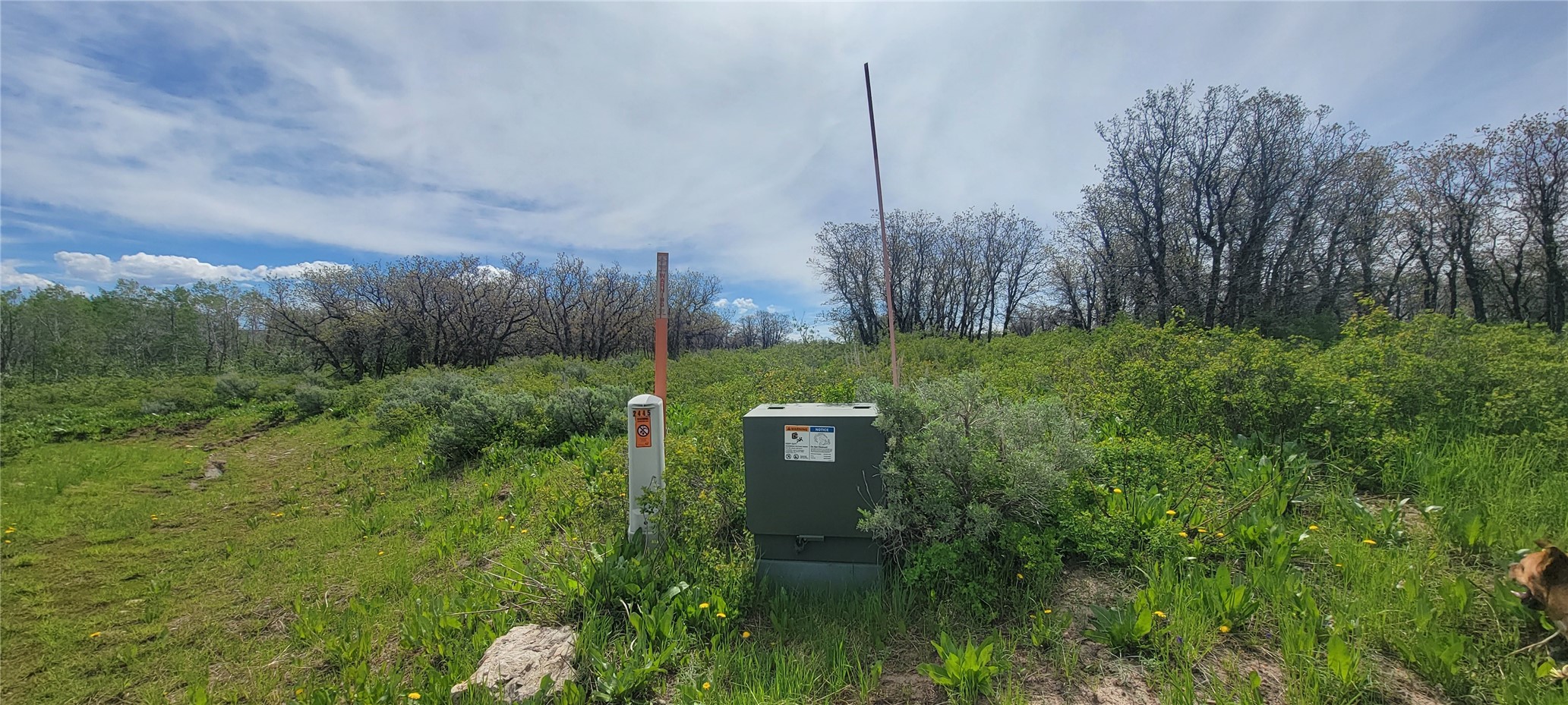24425 Lone Tooth TRAIL