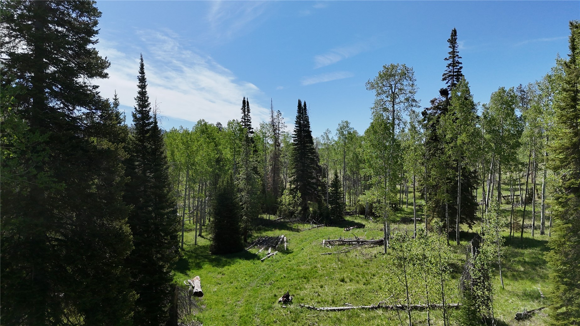 TBD Cody TRAIL