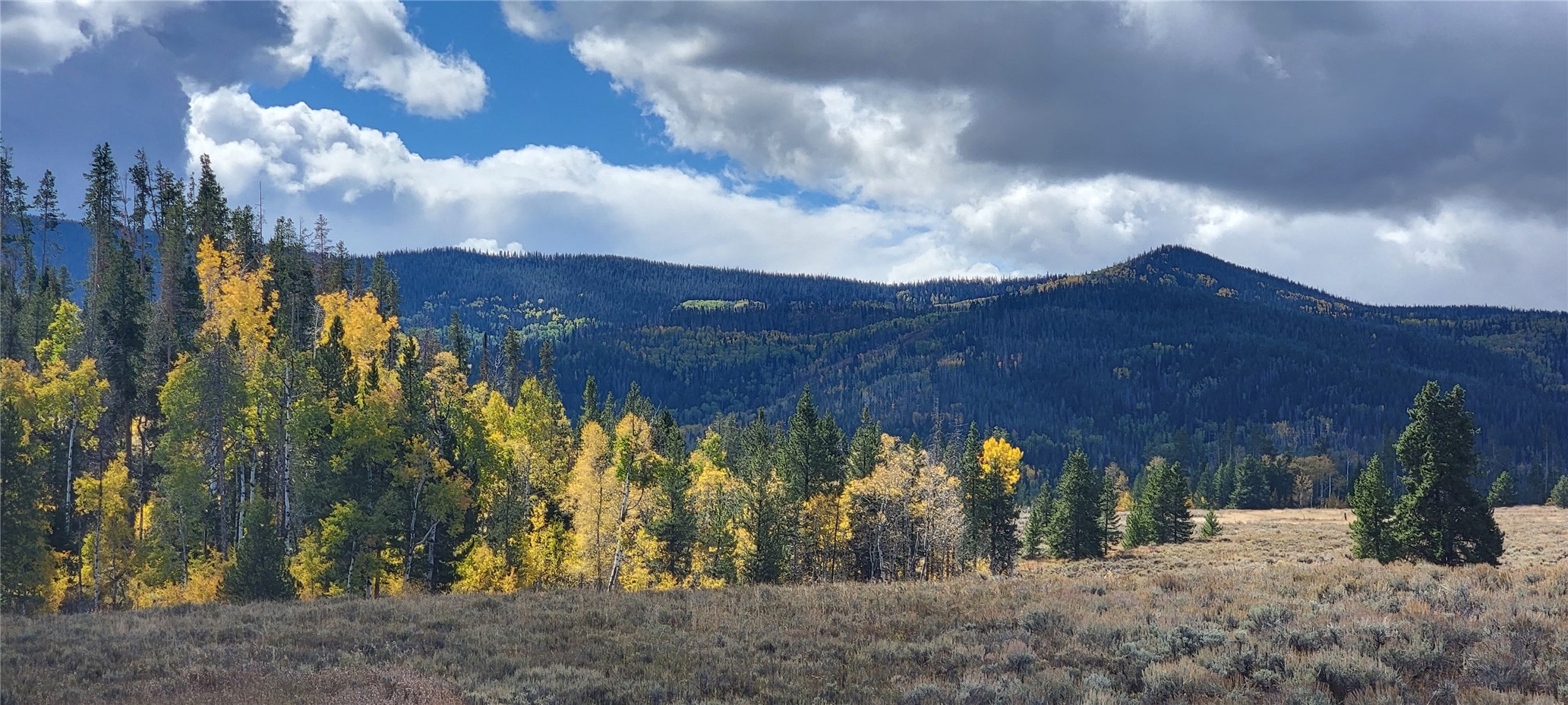 TBD Cody TRAIL