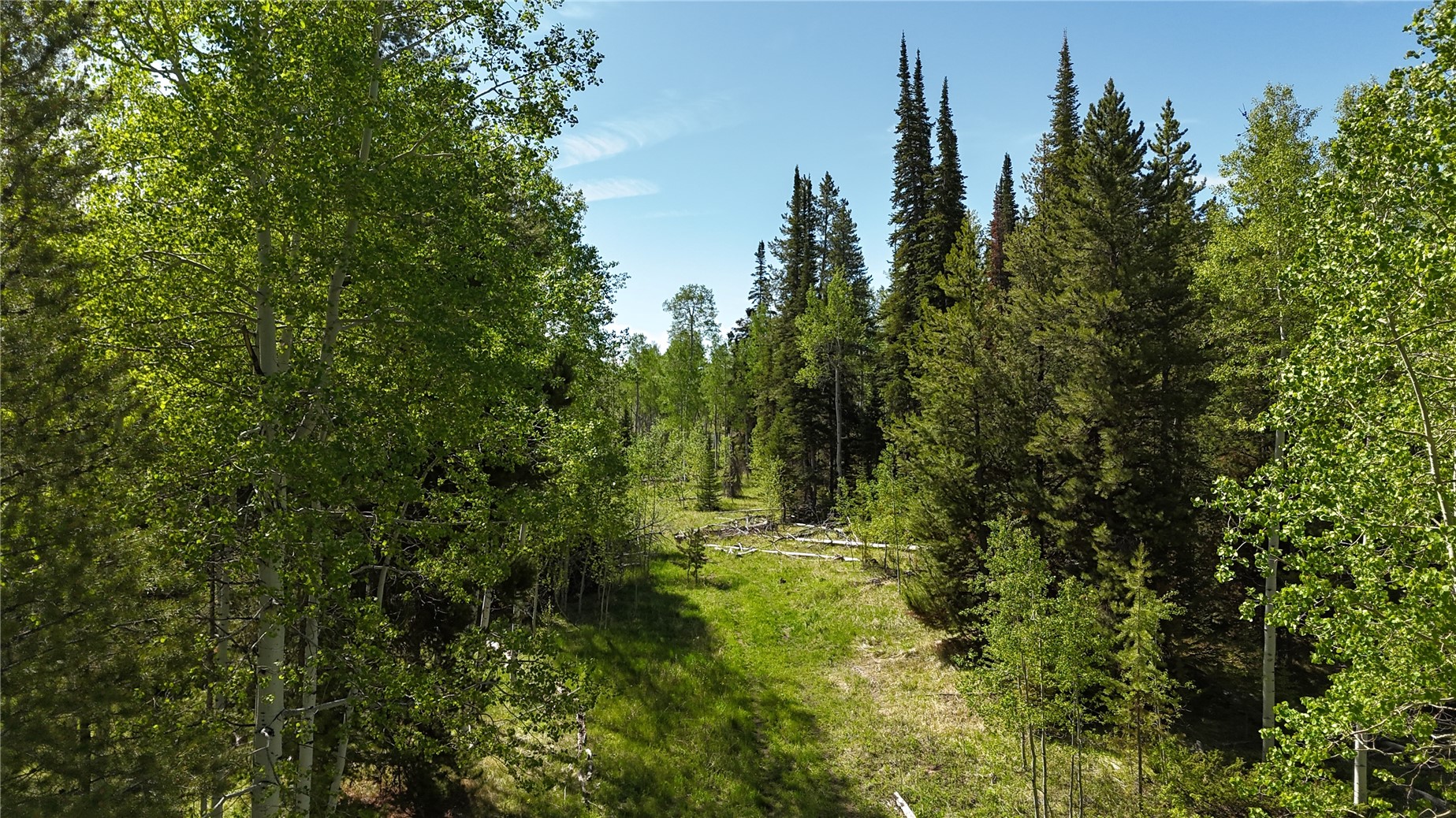 TBD Cody TRAIL
