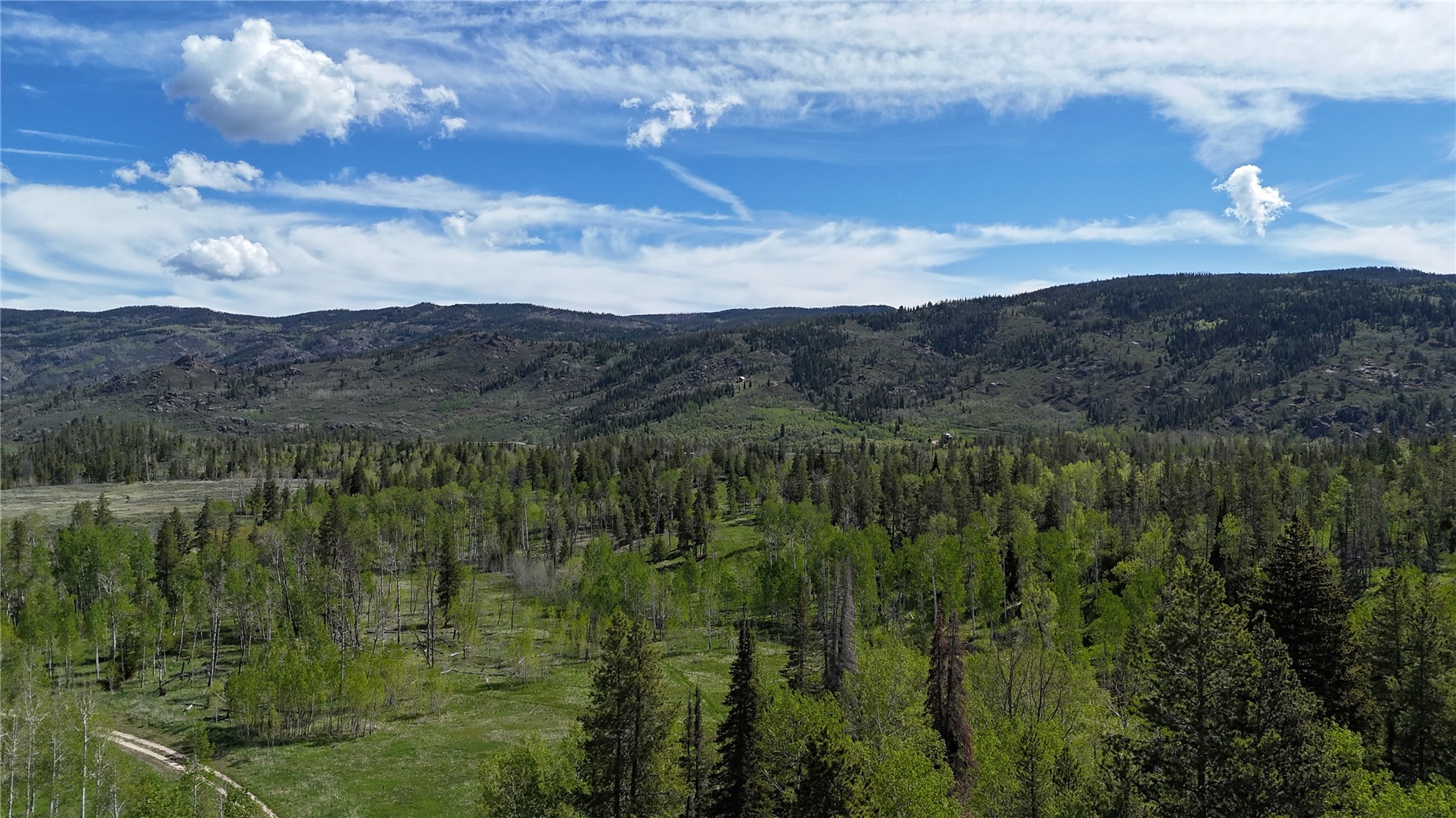 TBD Cody TRAIL