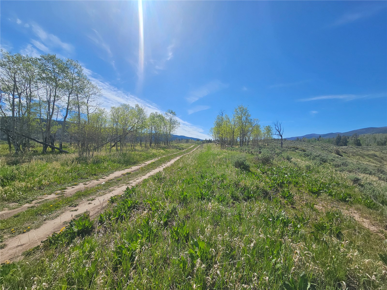 TBD Cody TRAIL