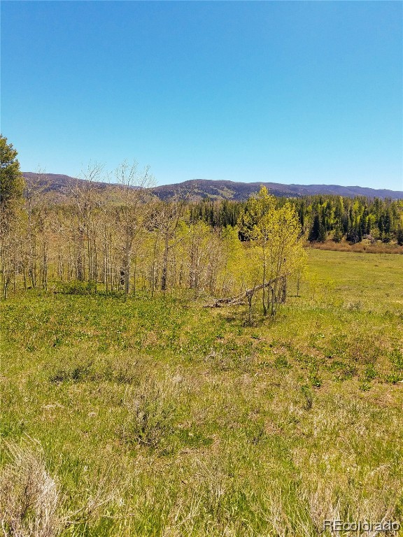 Lot 57 Black Horse II