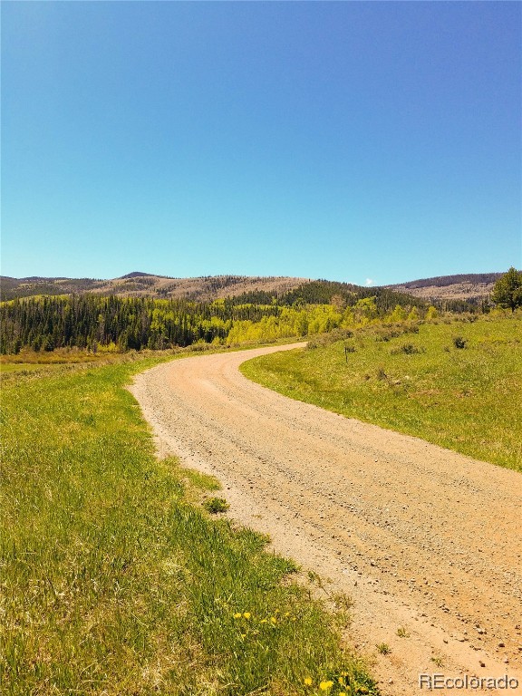 Lot 57 Black Horse II