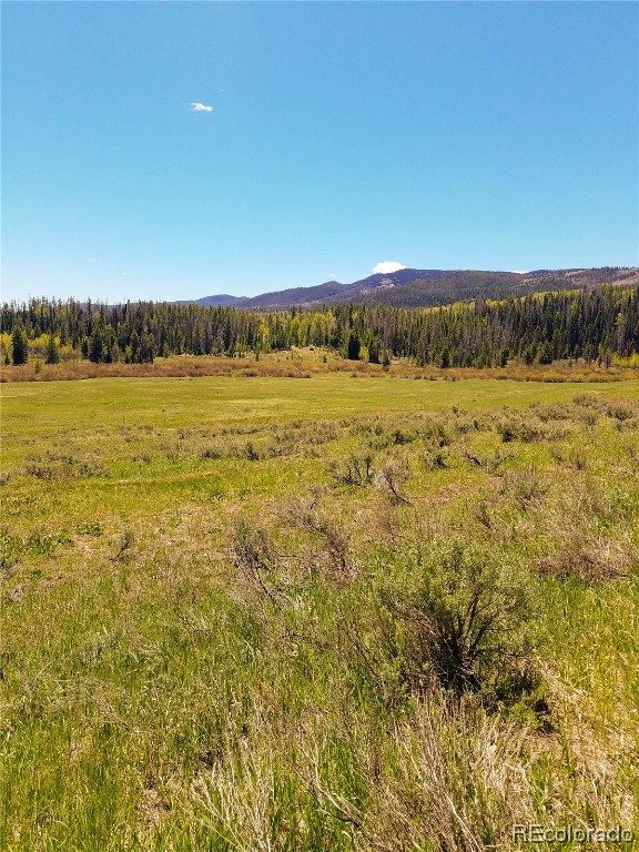 Lot 57 Black Horse II