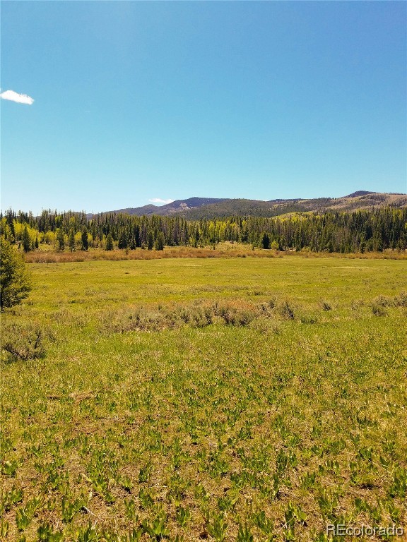 Lot 57 Black Horse II