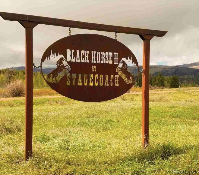 Lot 57 Black Horse II