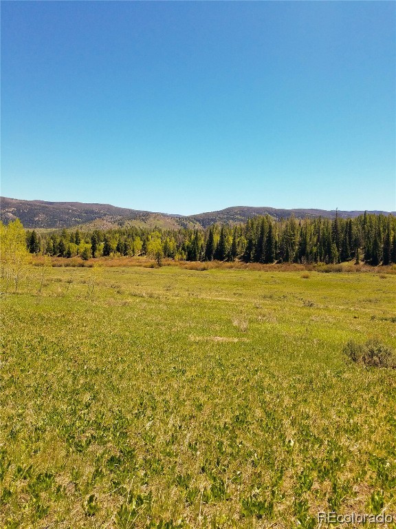 Lot 57 Black Horse II