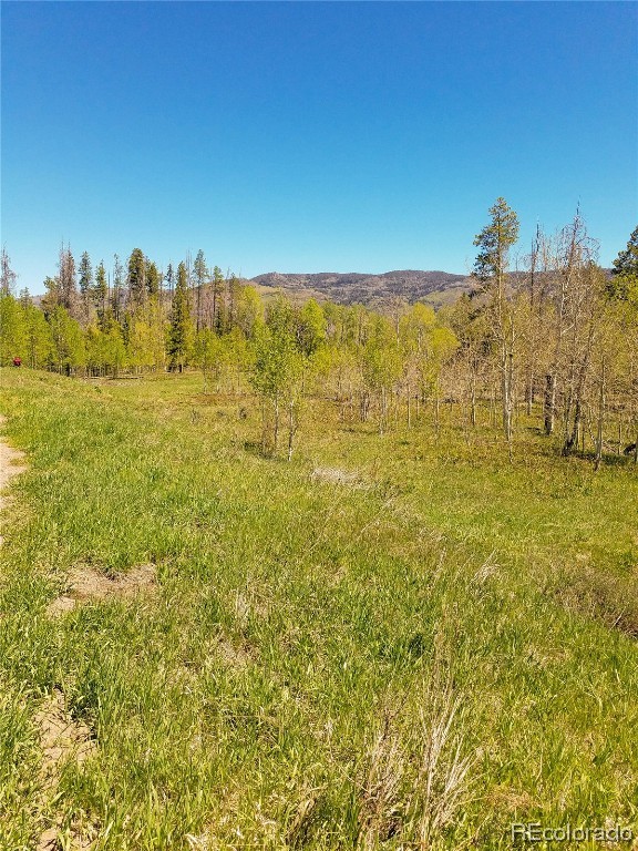 Lot 57 Black Horse II