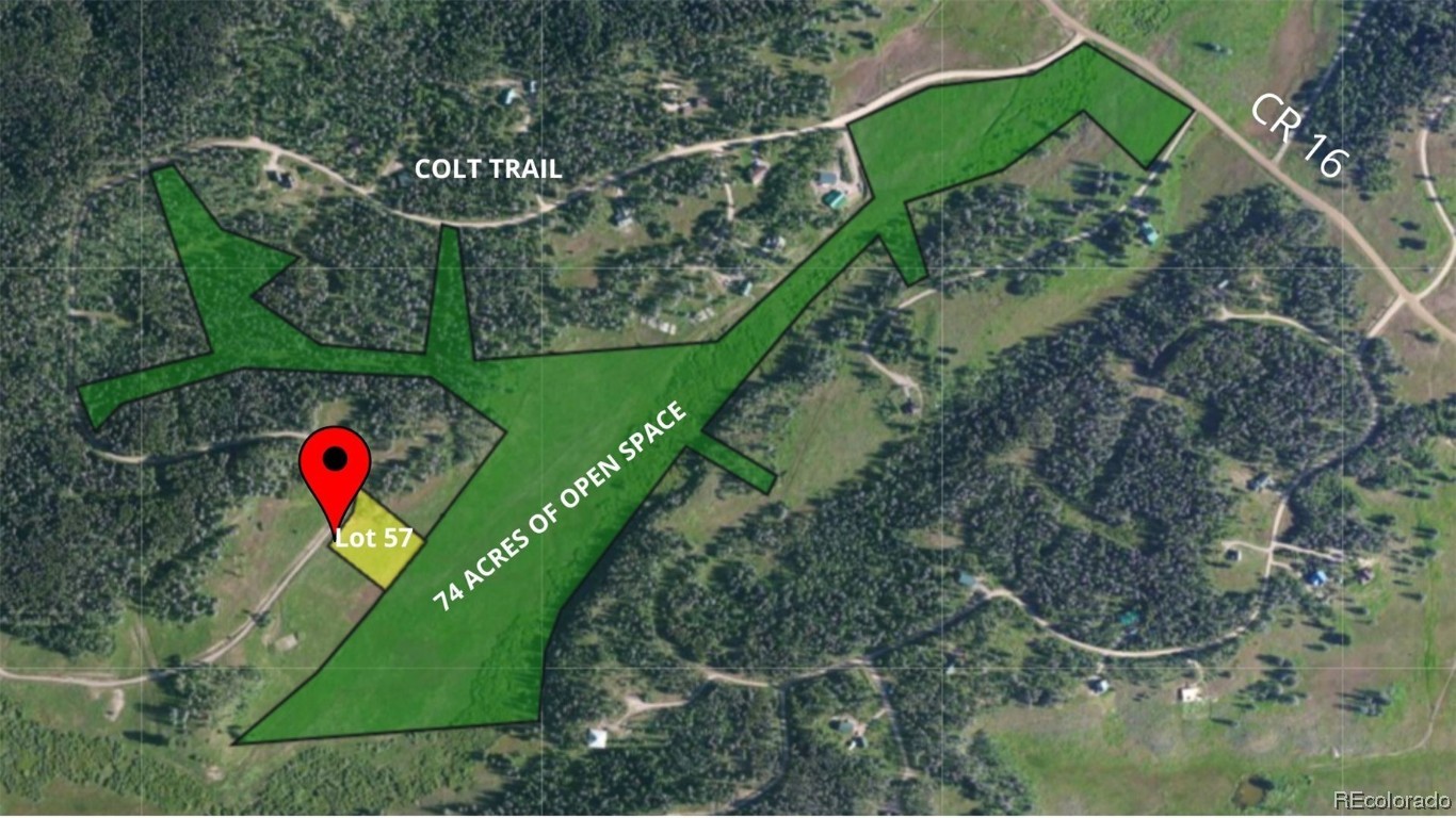 Lot 57 Black Horse II