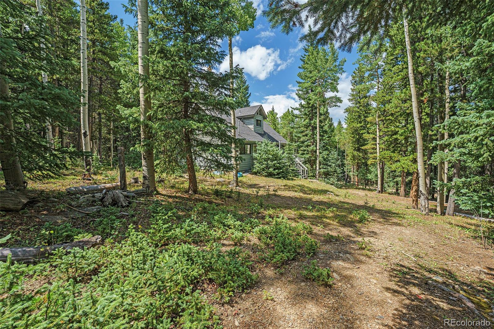 98 Evergreen Lane