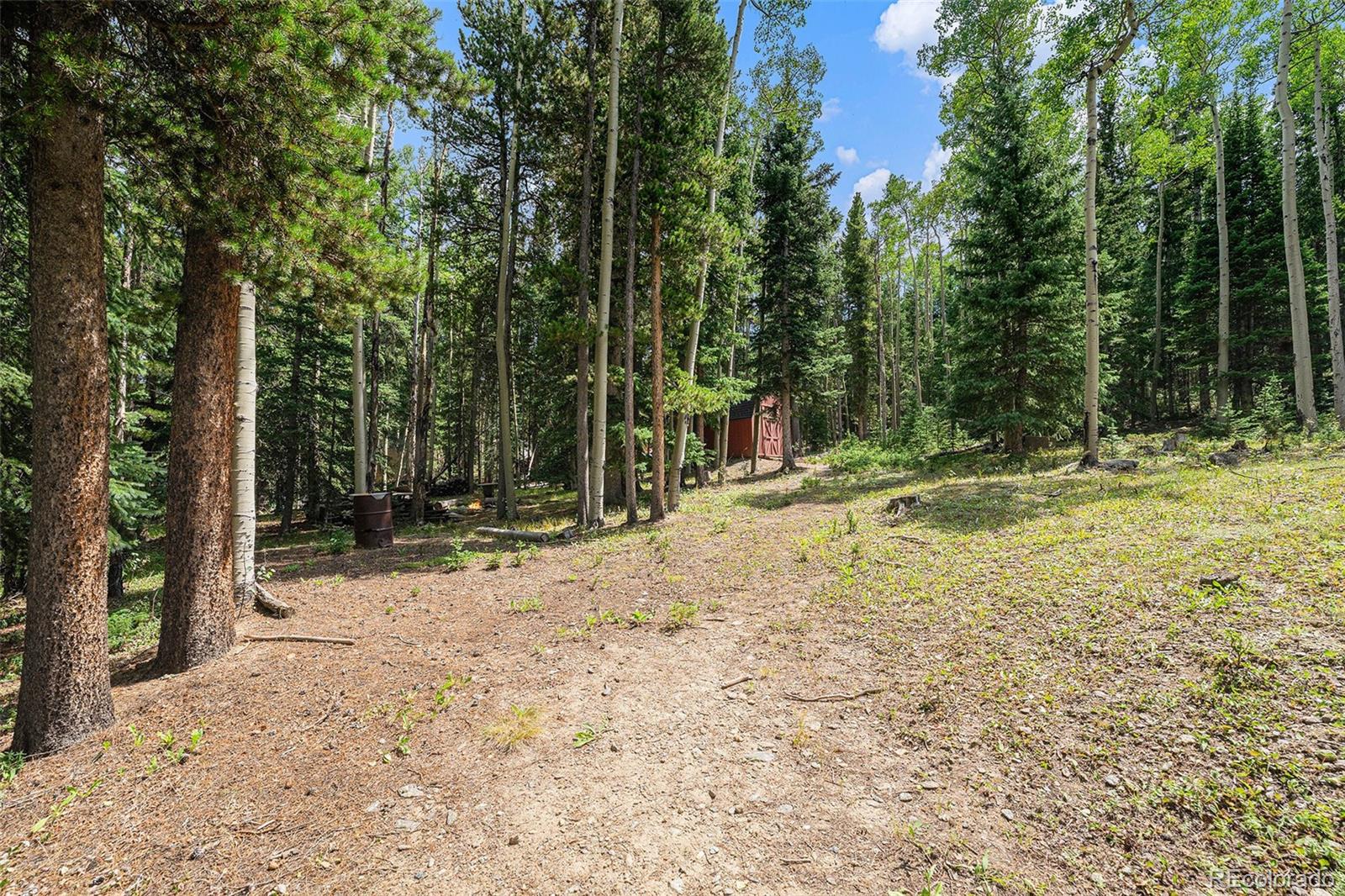98 Evergreen Lane