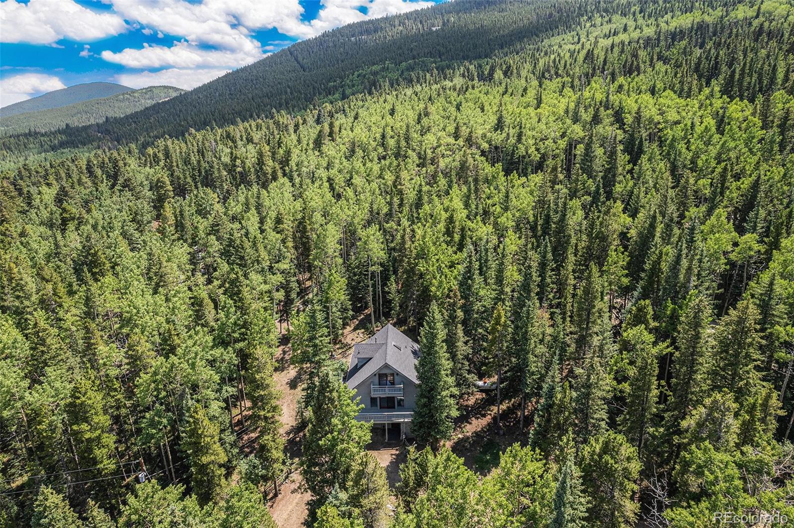 98 Evergreen Lane