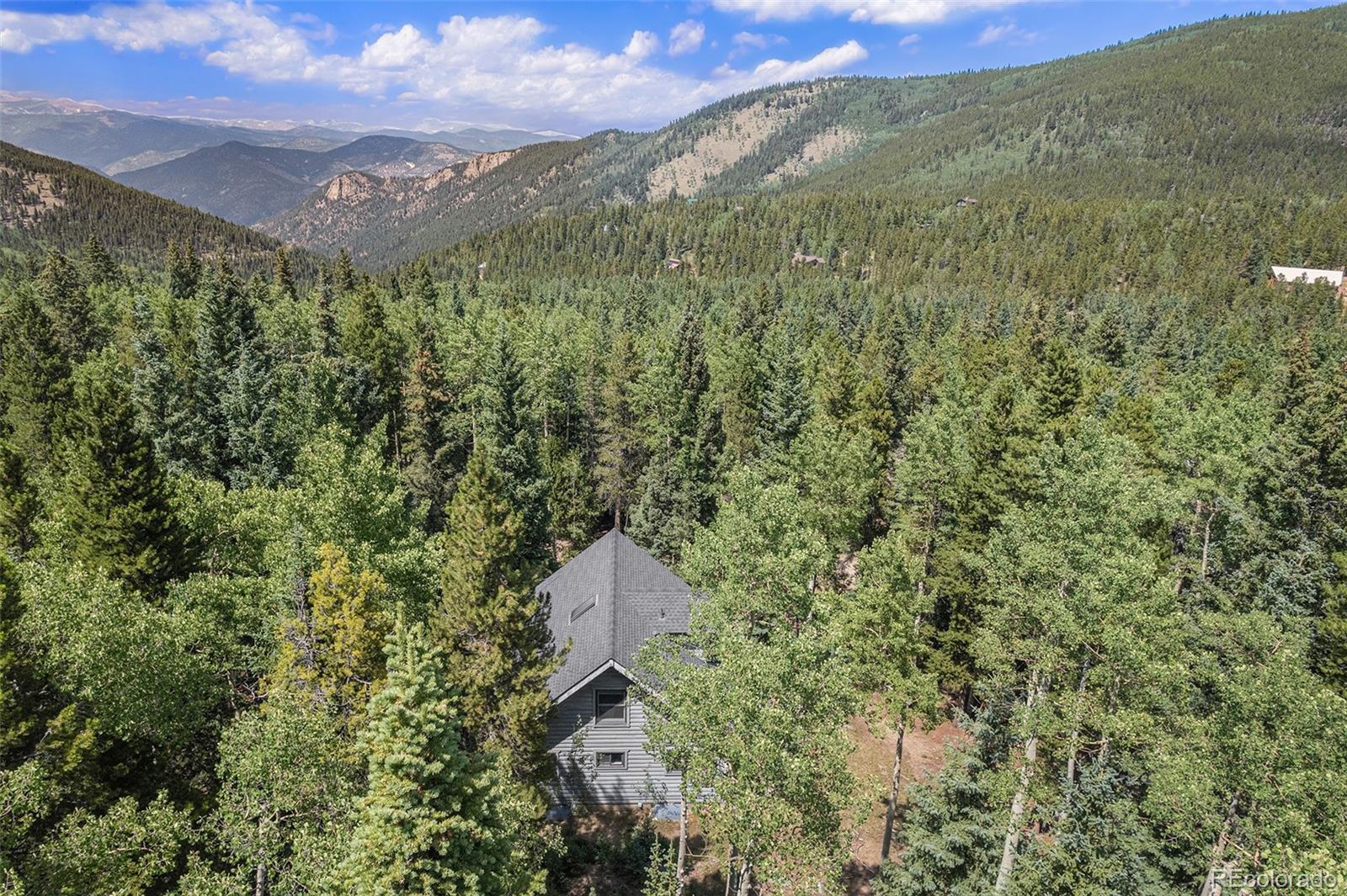 98 Evergreen Lane