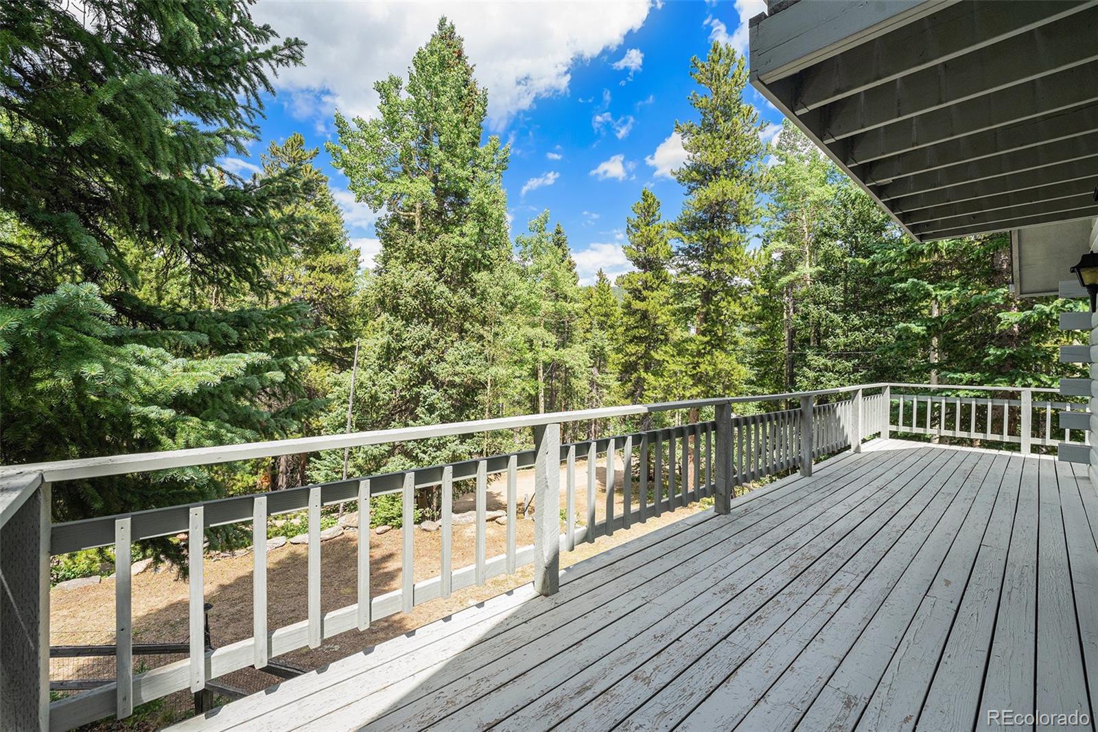 98 Evergreen Lane