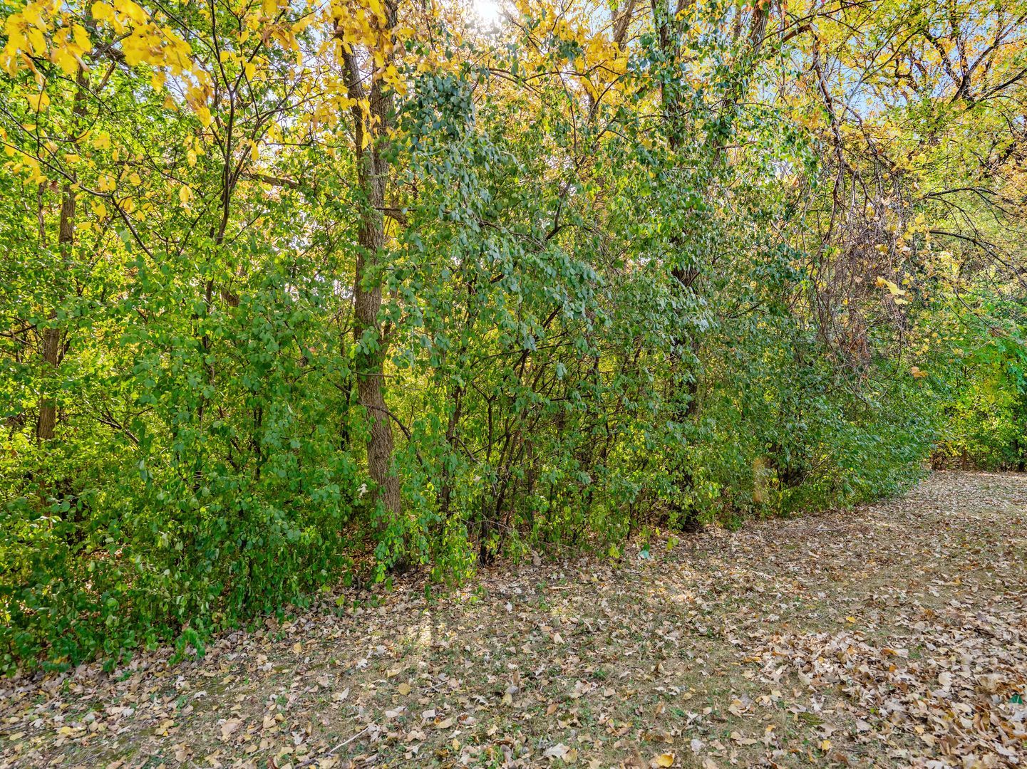 710 Hillcrest Lane