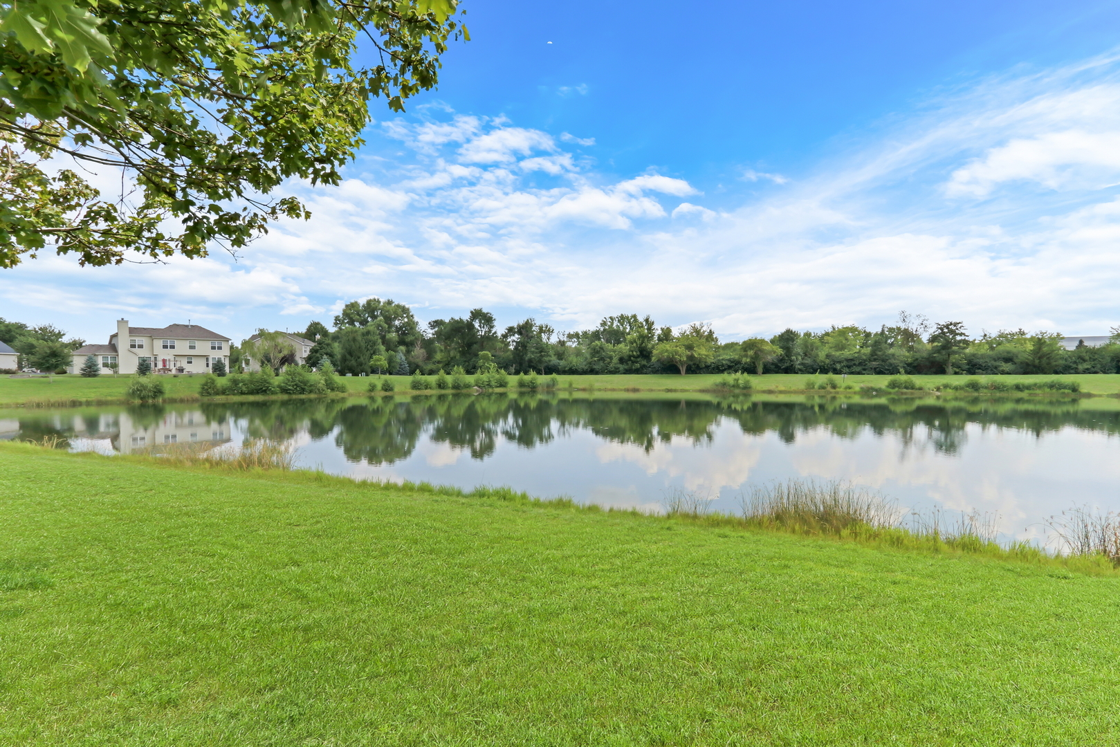849 Bellflower Lane
