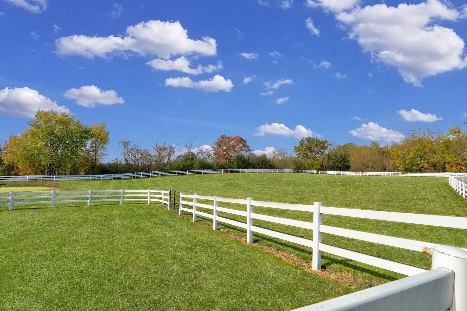 36968 N Thoroughbred Drive