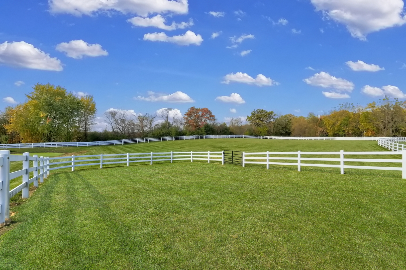 36968 N Thoroughbred Drive