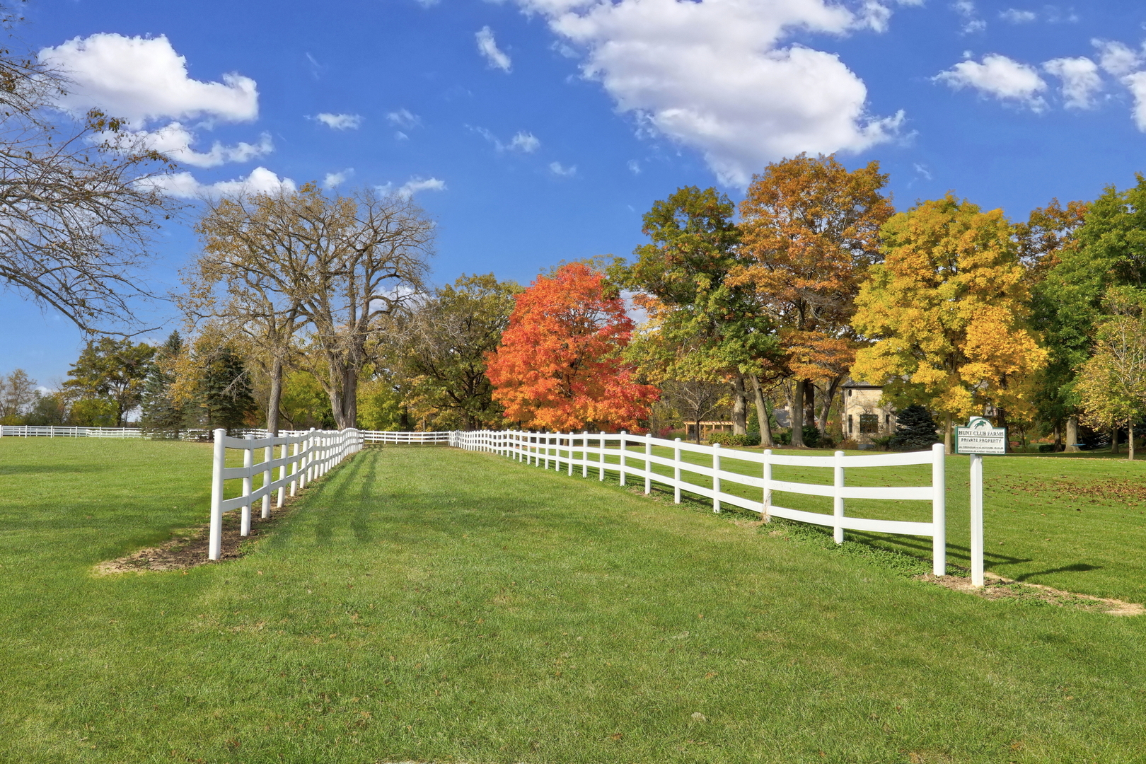 36968 N Thoroughbred Drive