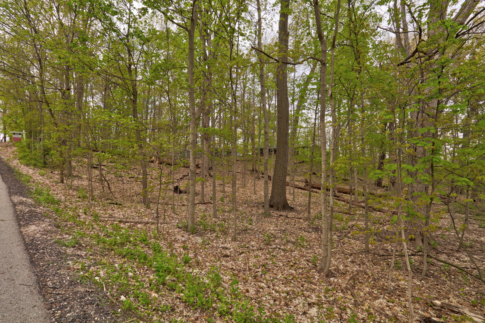 Lt 17-18 Forest Drive